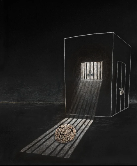 Notícia "O que é que o isolamento social faz ao cérebro?", por Andrea Cunha Freitase